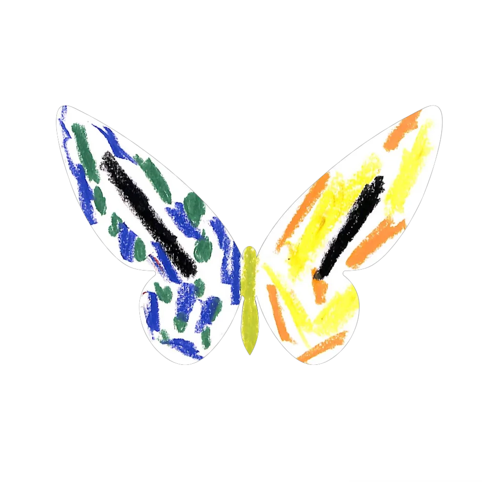 Original Butterfly Image