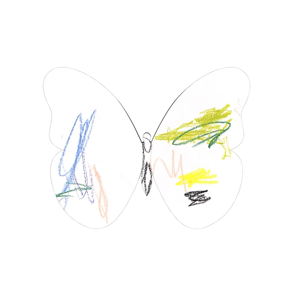Original Butterfly Image