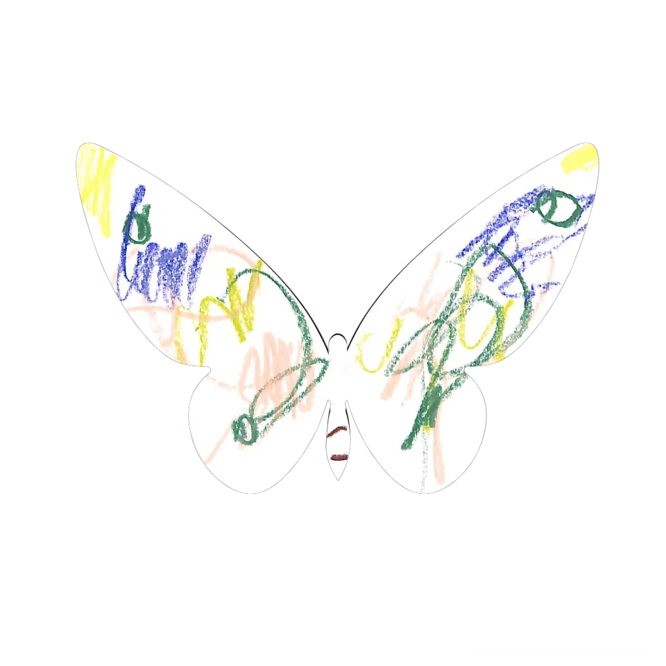 Original Butterfly Image