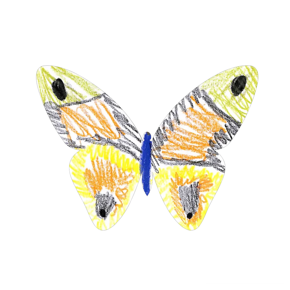 Original Butterfly Image