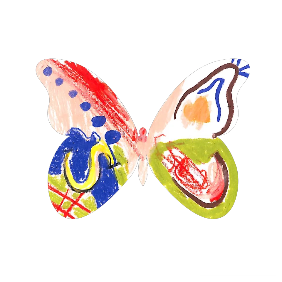 Original Butterfly Image