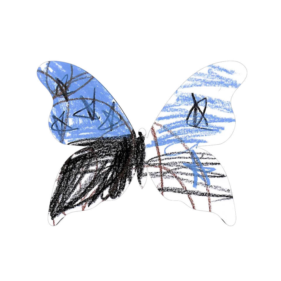 Original Butterfly Image