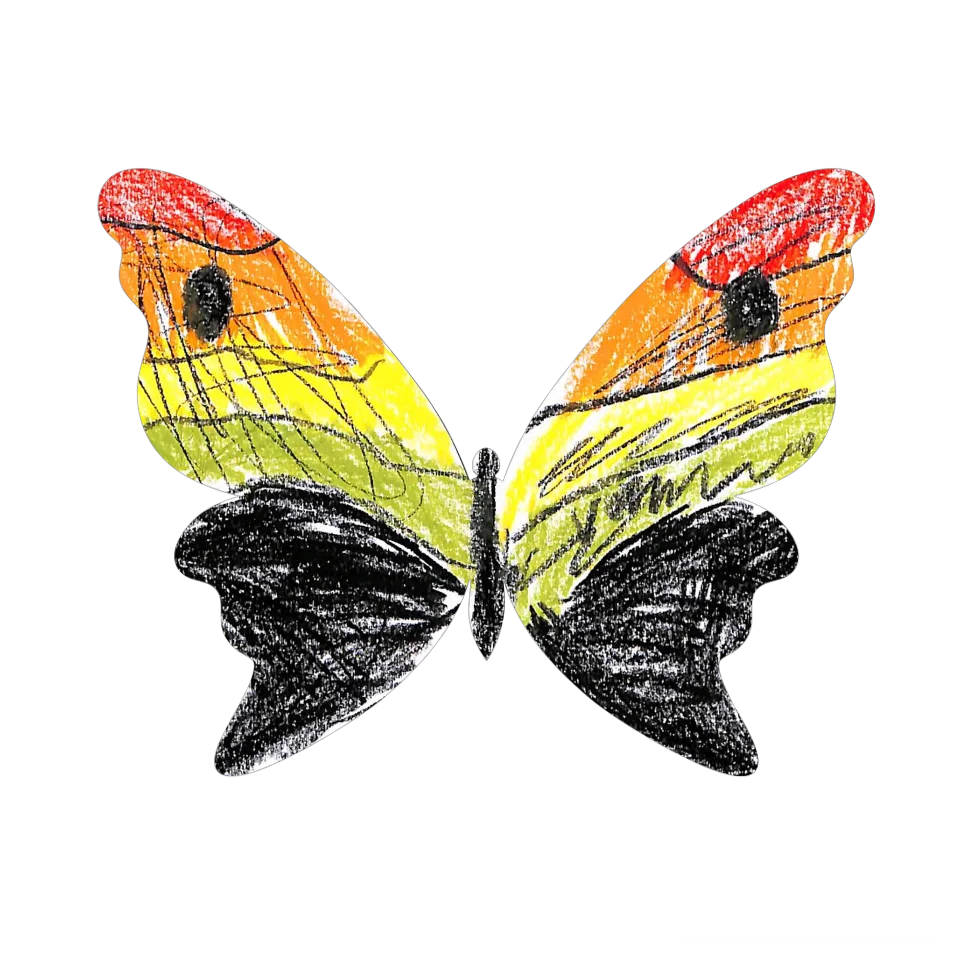 Original Butterfly Image