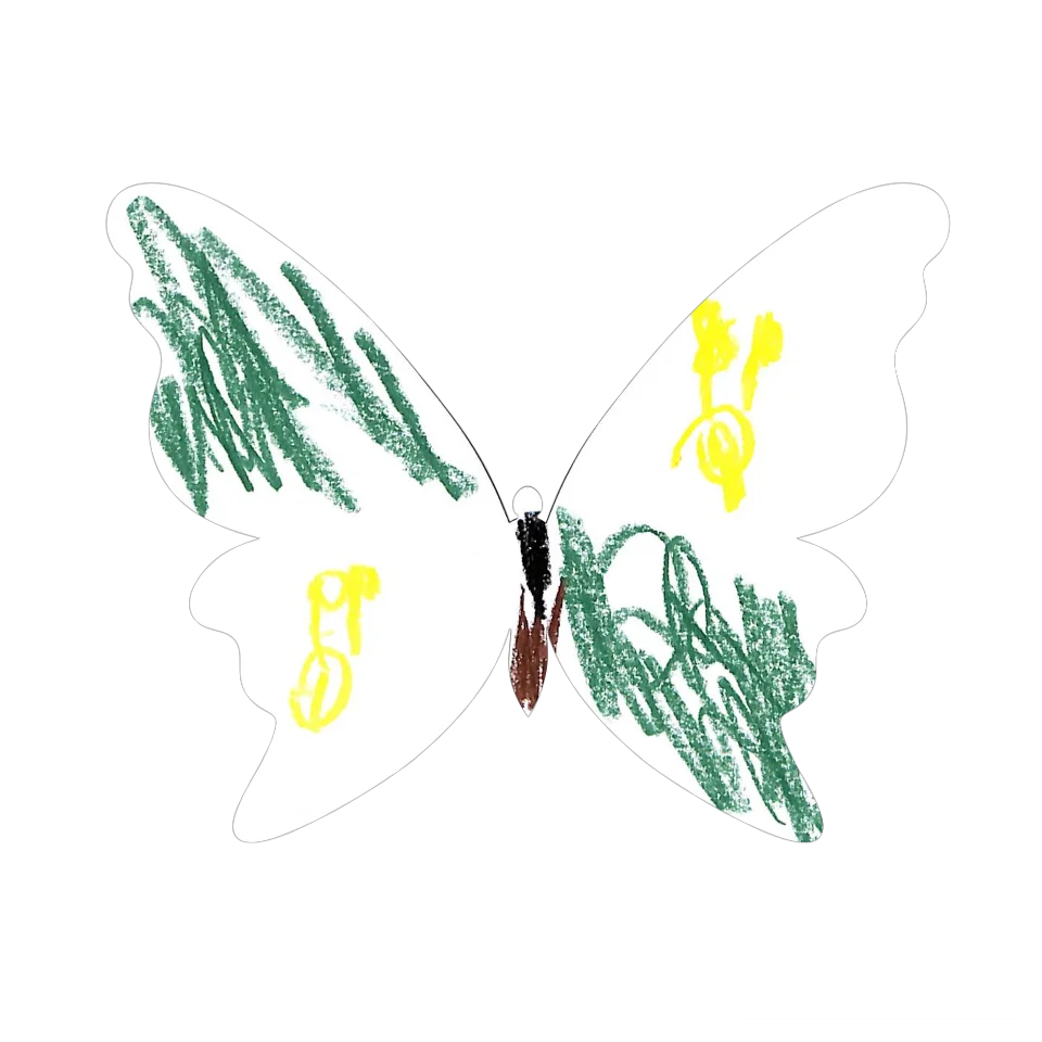 Original Butterfly Image