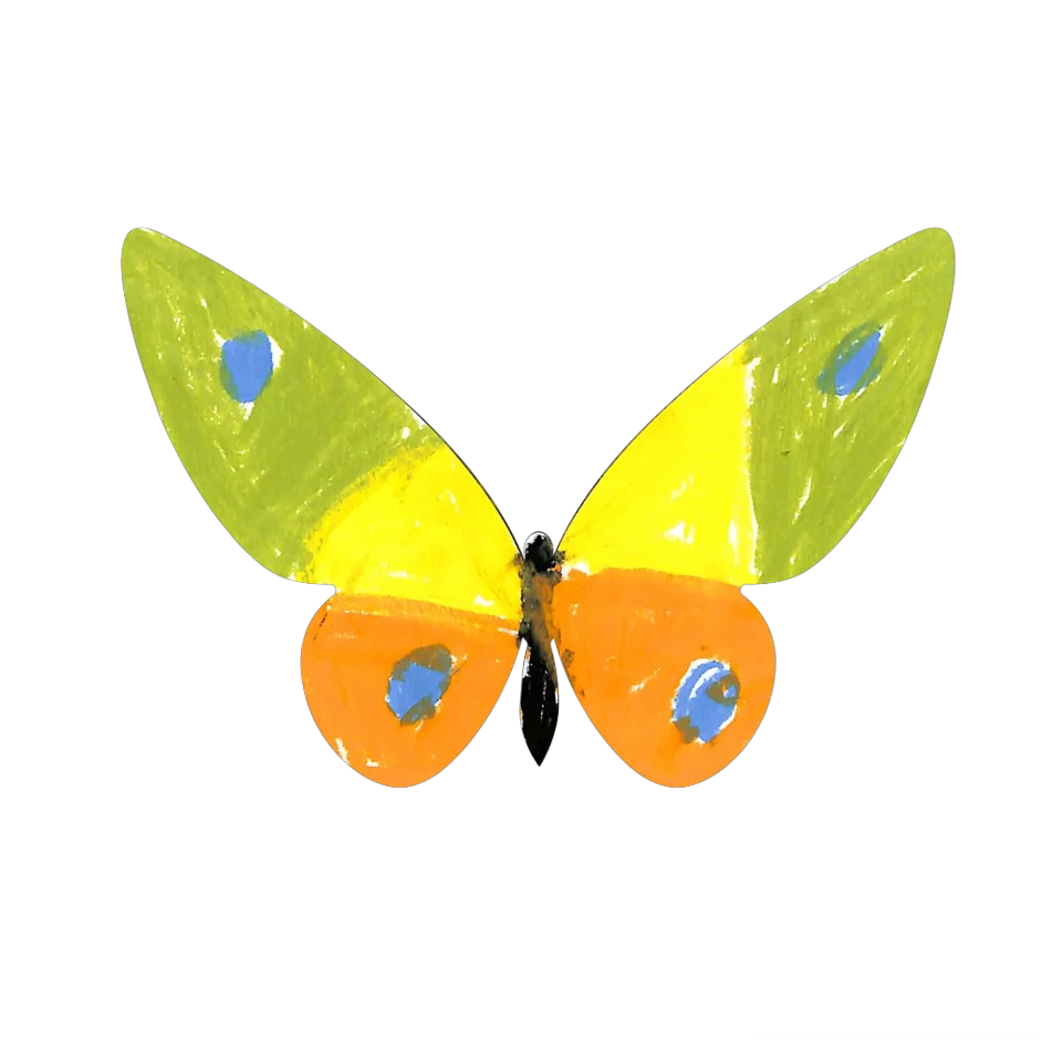 Original Butterfly Image