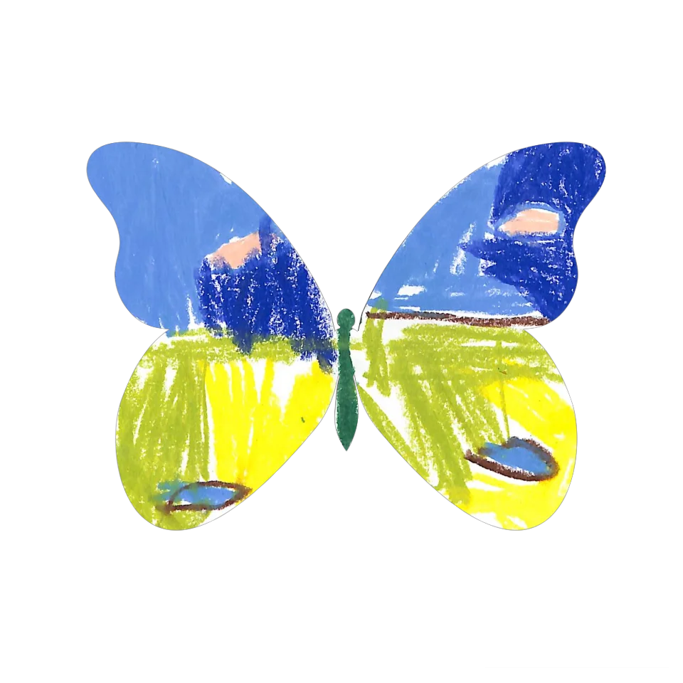 Original Butterfly Image