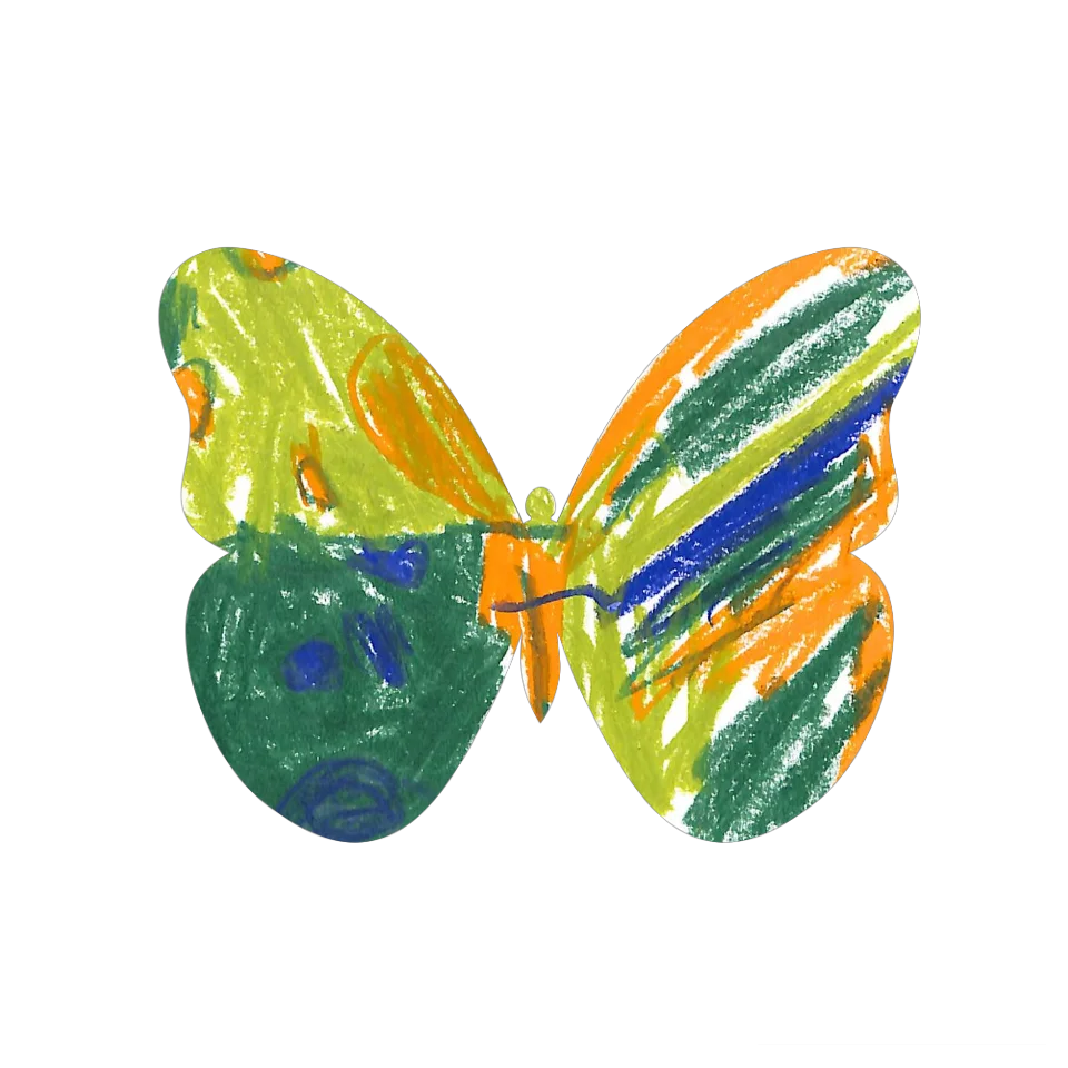 Original Butterfly Image