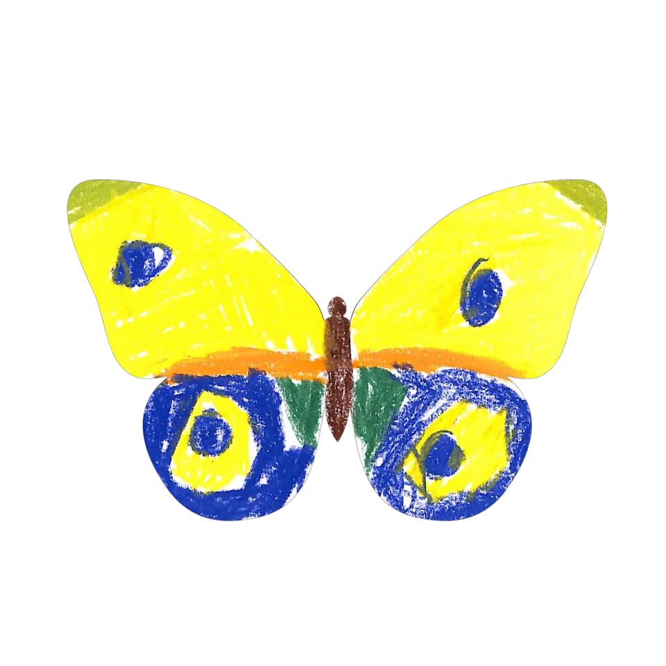 Original Butterfly Image