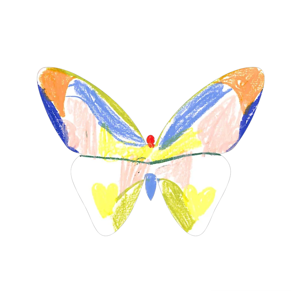 Original Butterfly Image
