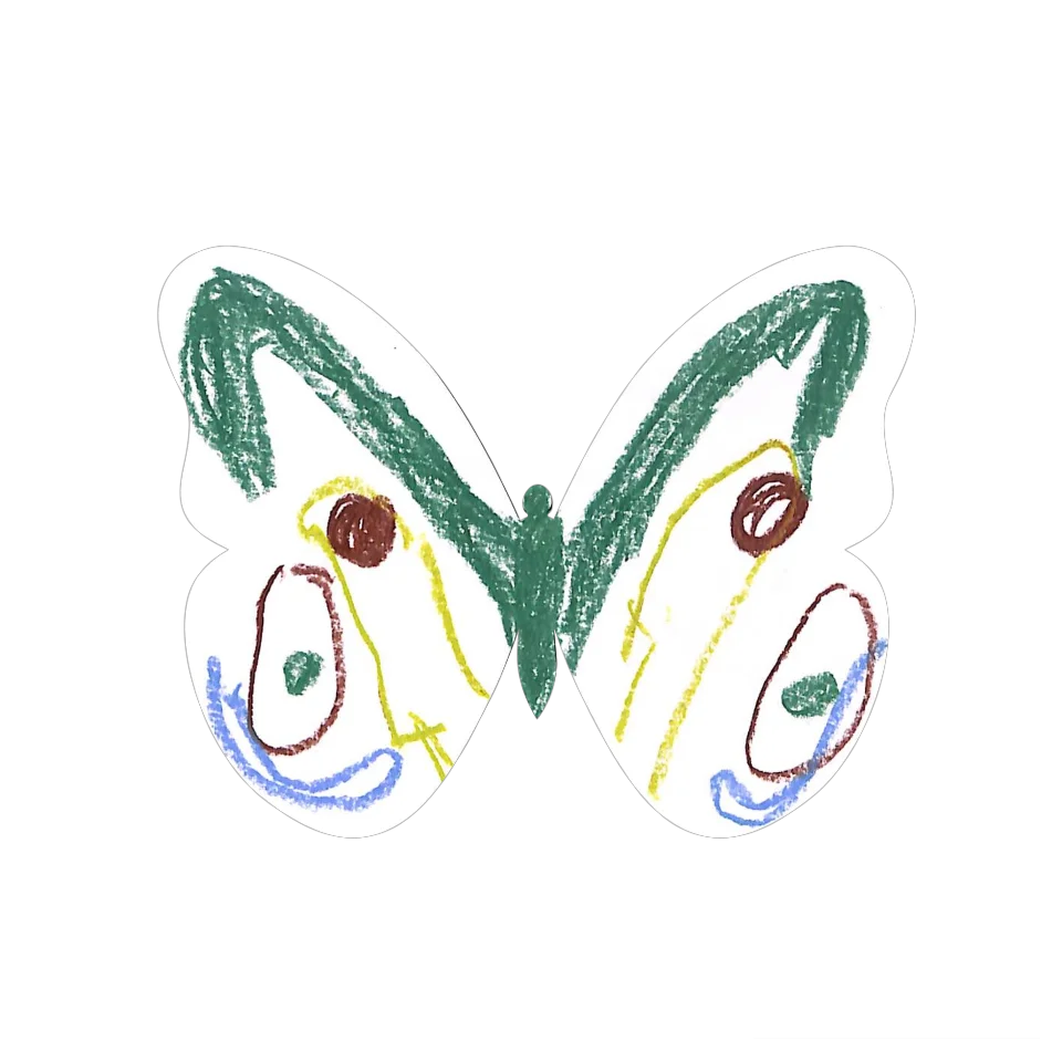 Original Butterfly Image