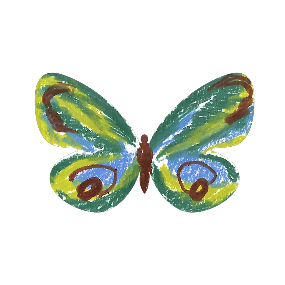 Original Butterfly Image
