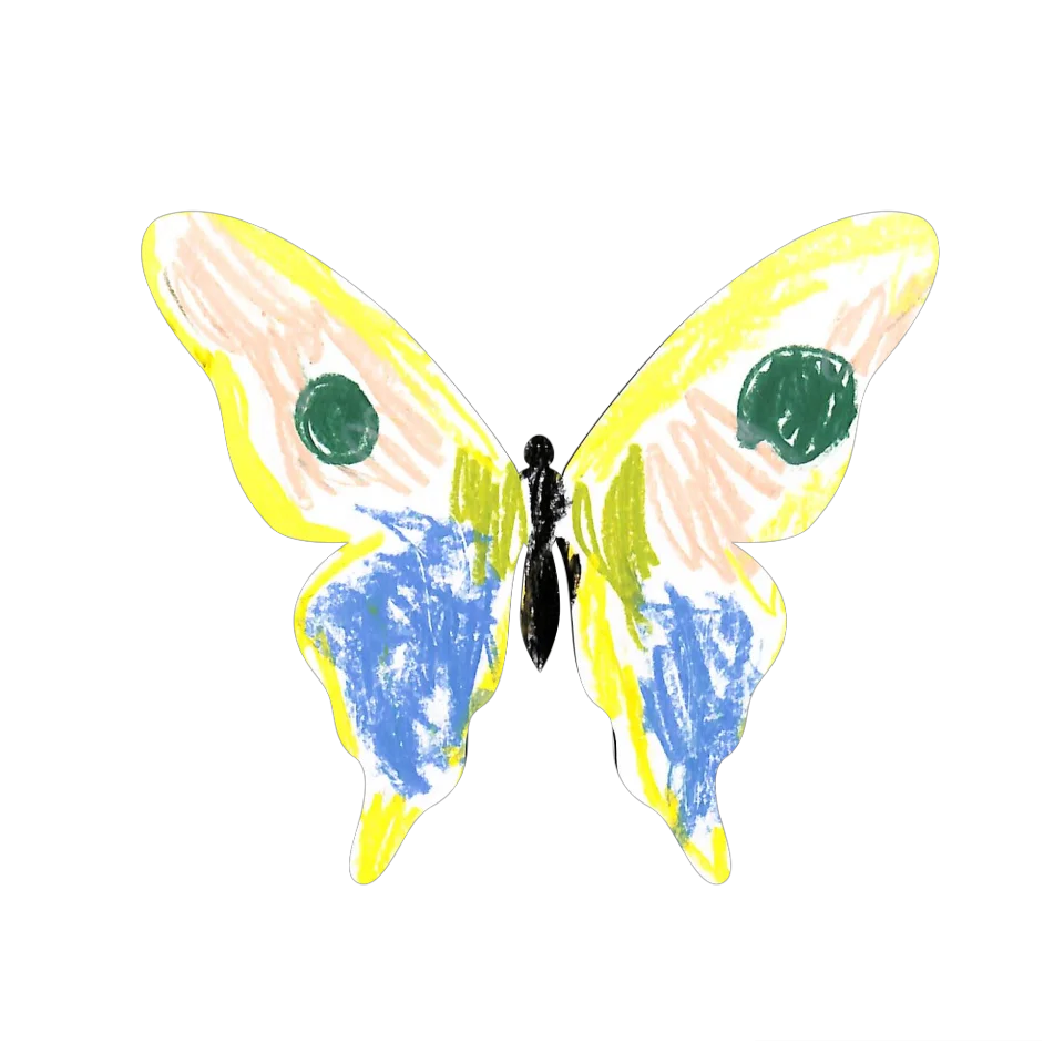 Original Butterfly Image