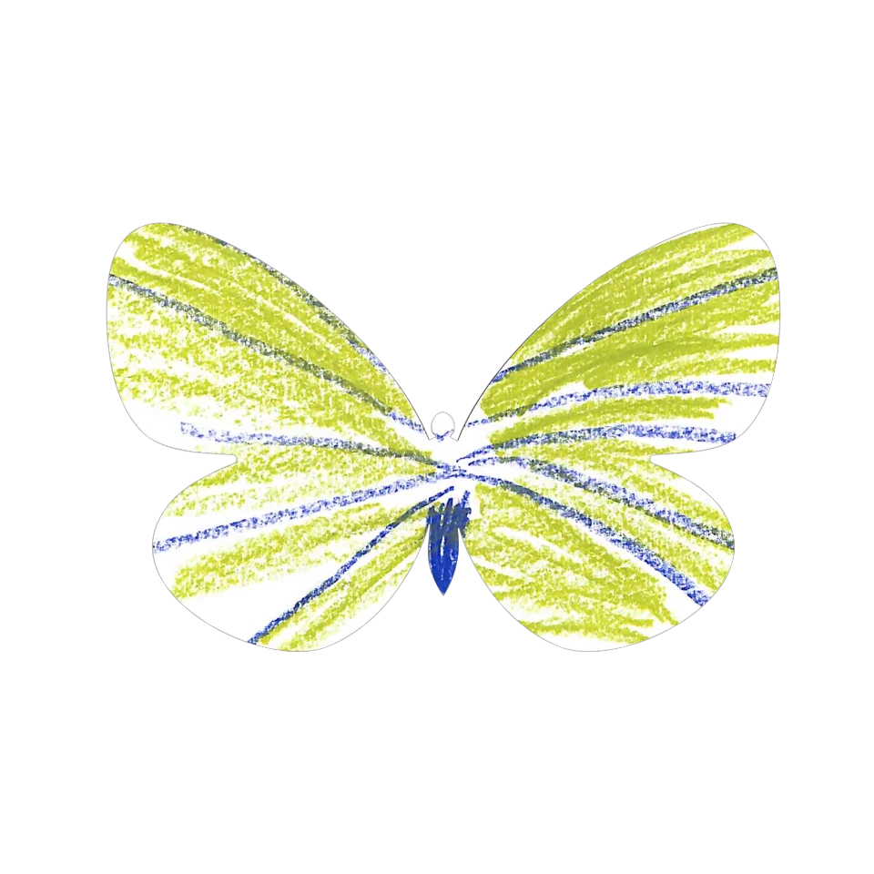 Original Butterfly Image