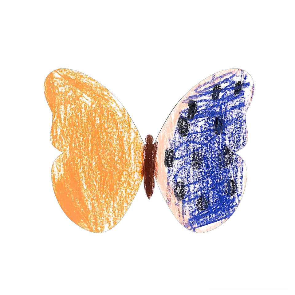Original Butterfly Image