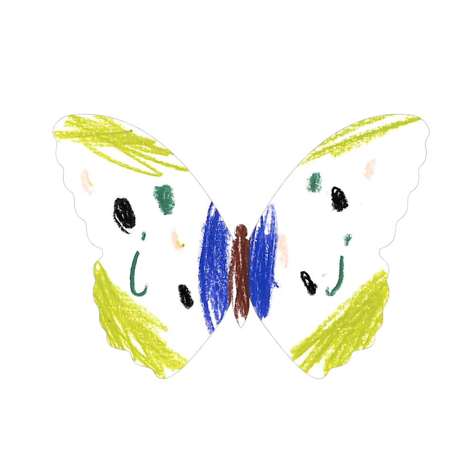 Original Butterfly Image