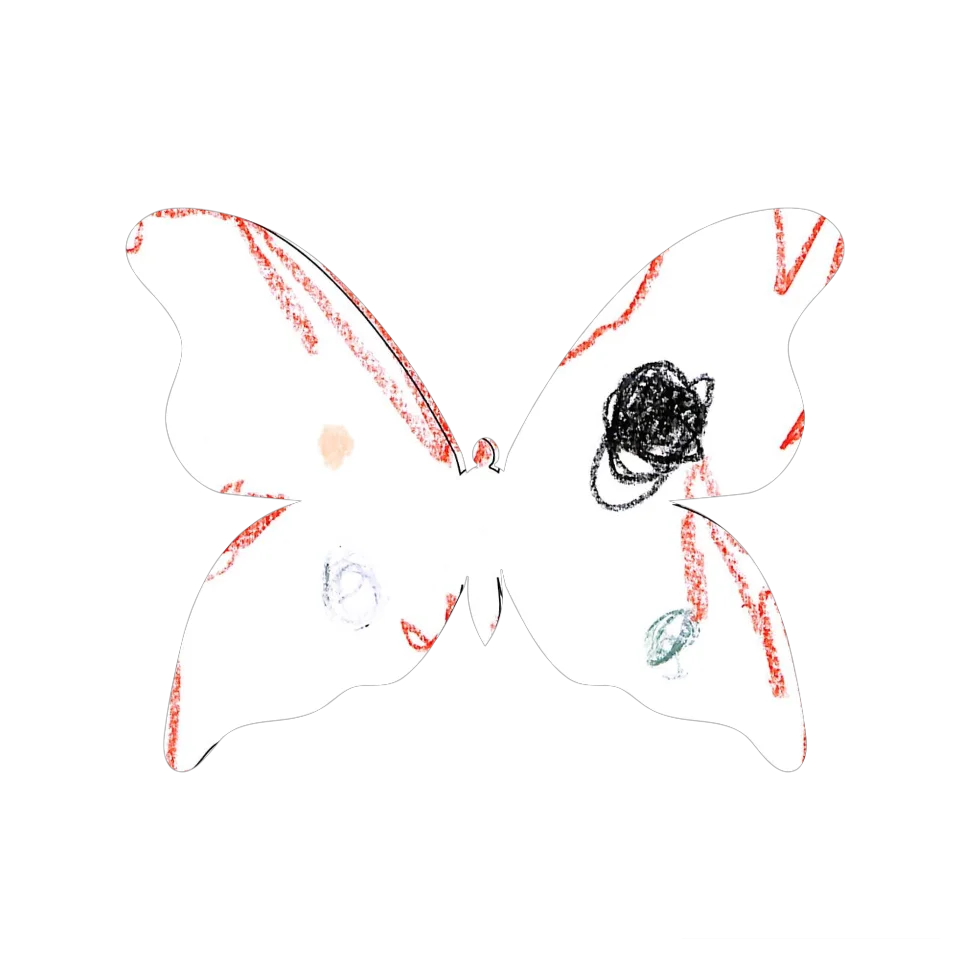 Original Butterfly Image