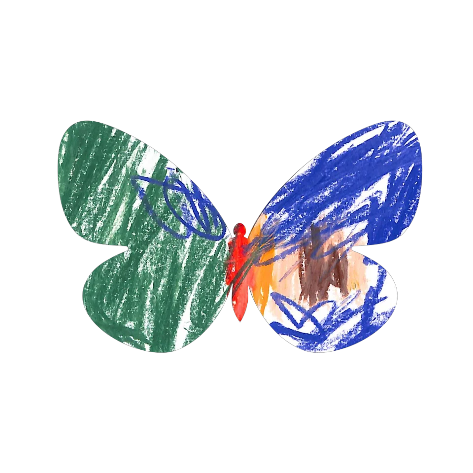 Original Butterfly Image
