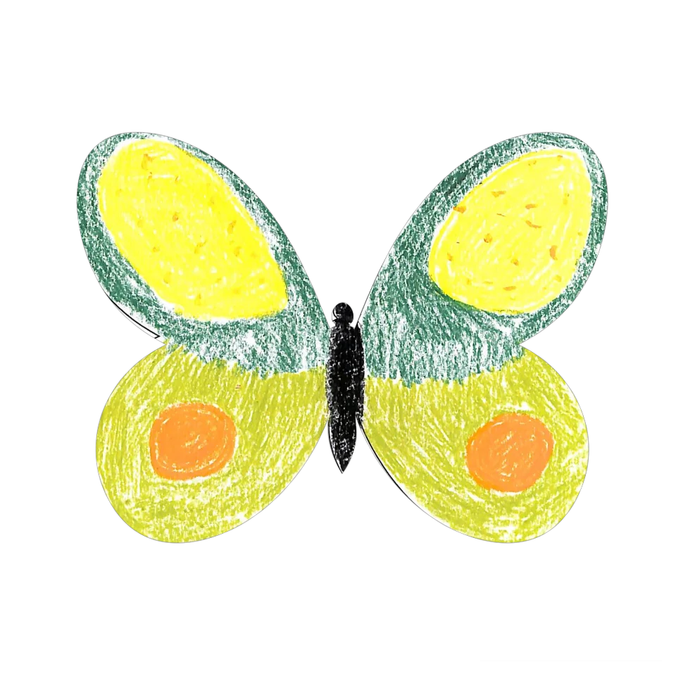 Original Butterfly Image