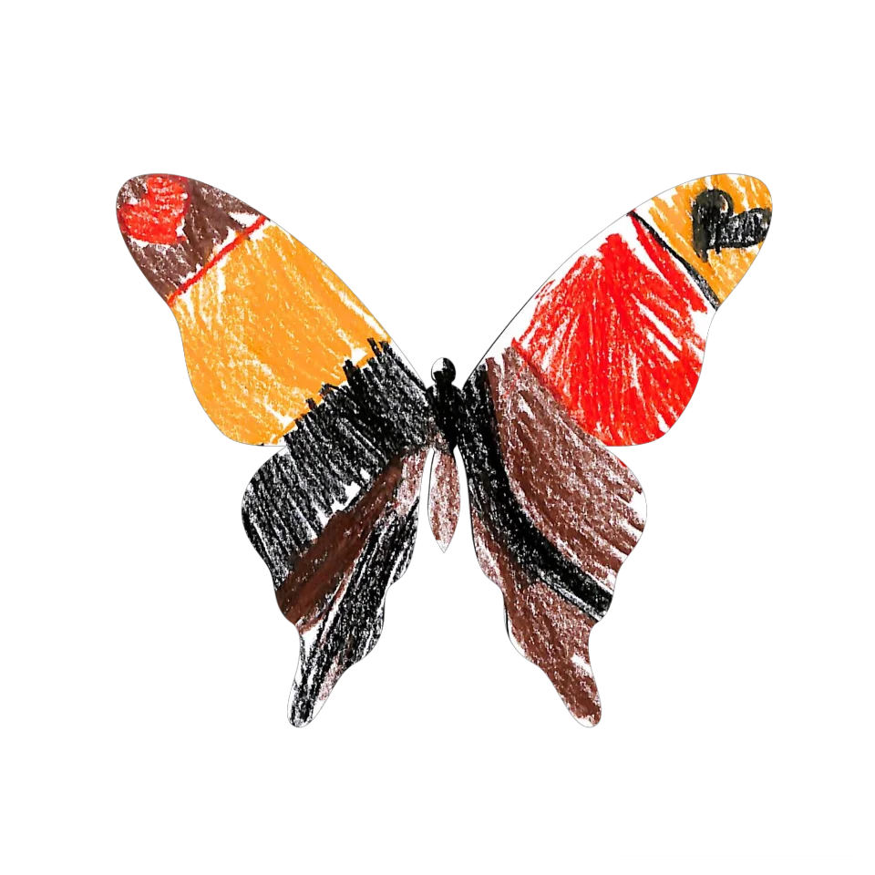 Original Butterfly Image