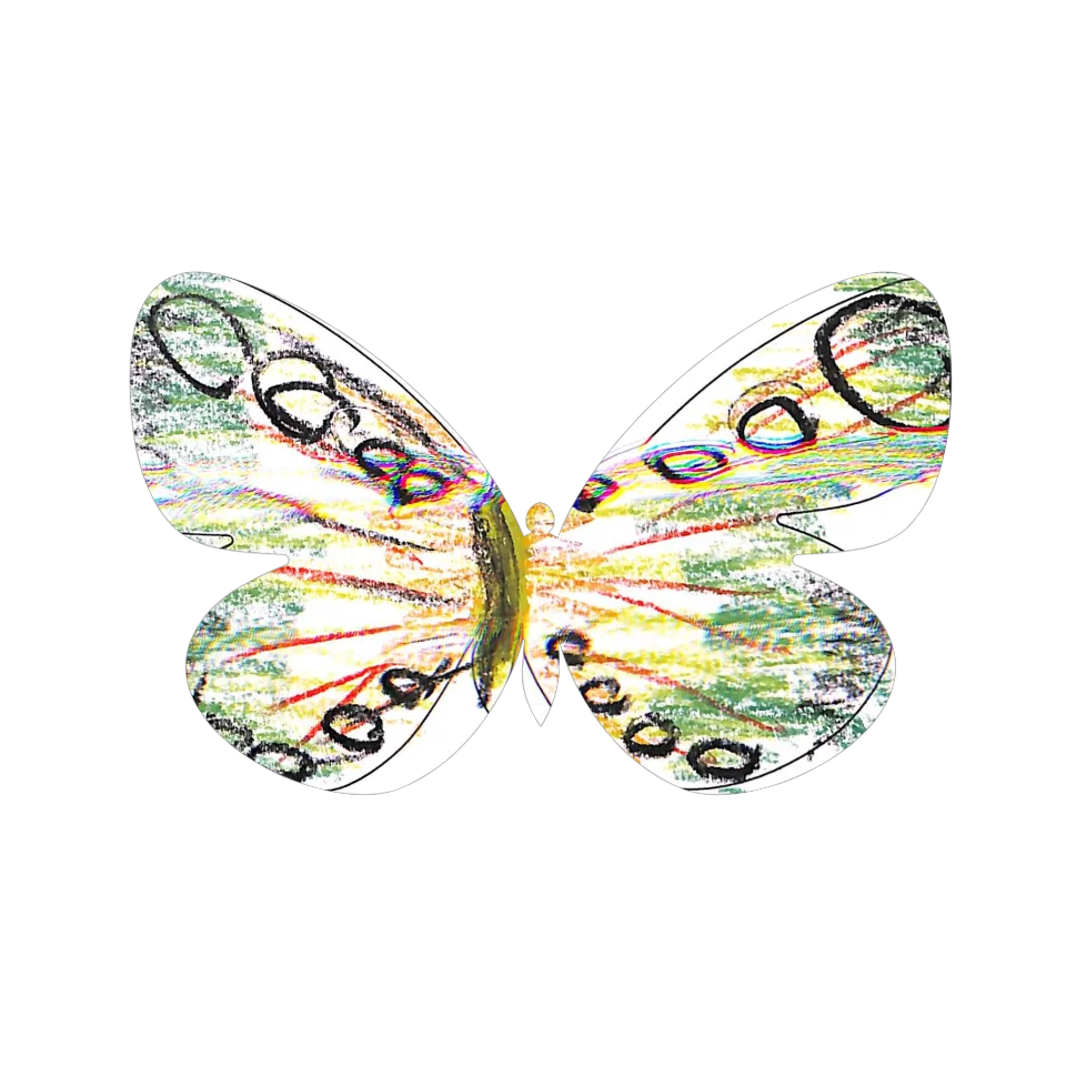 Original Butterfly Image