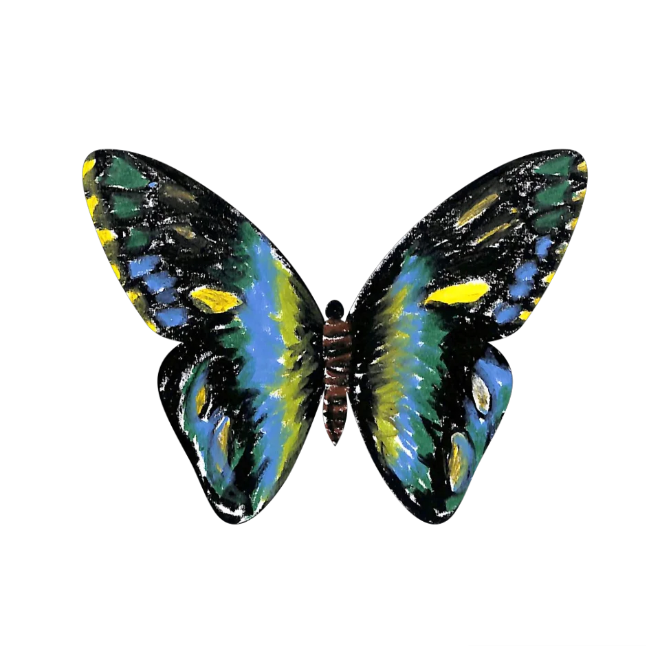 Original Butterfly Image