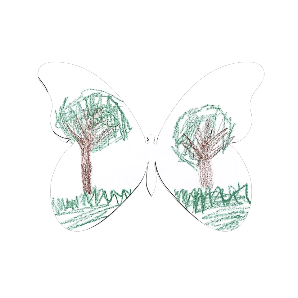 Original Butterfly Image