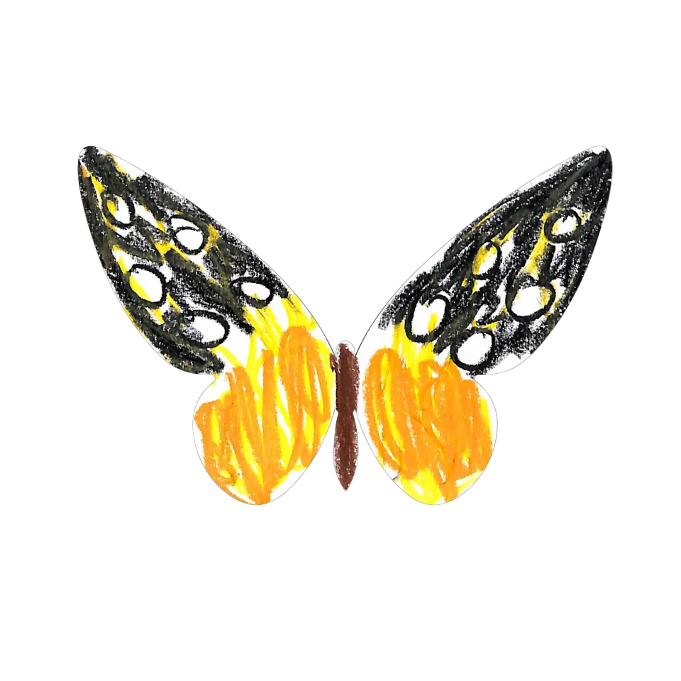 Original Butterfly Image