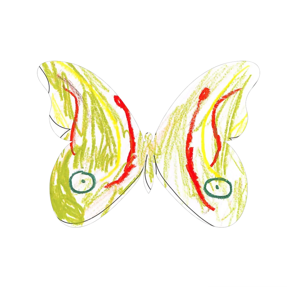 Original Butterfly Image