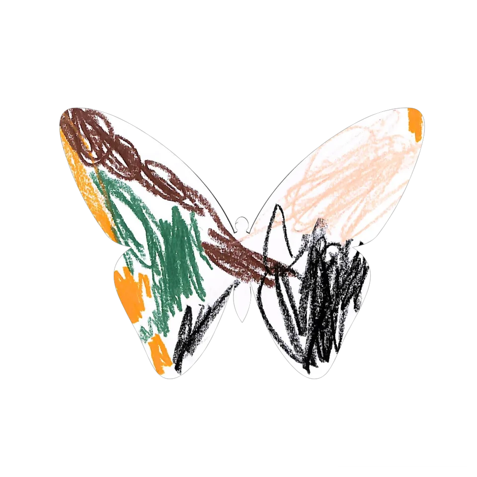 Original Butterfly Image
