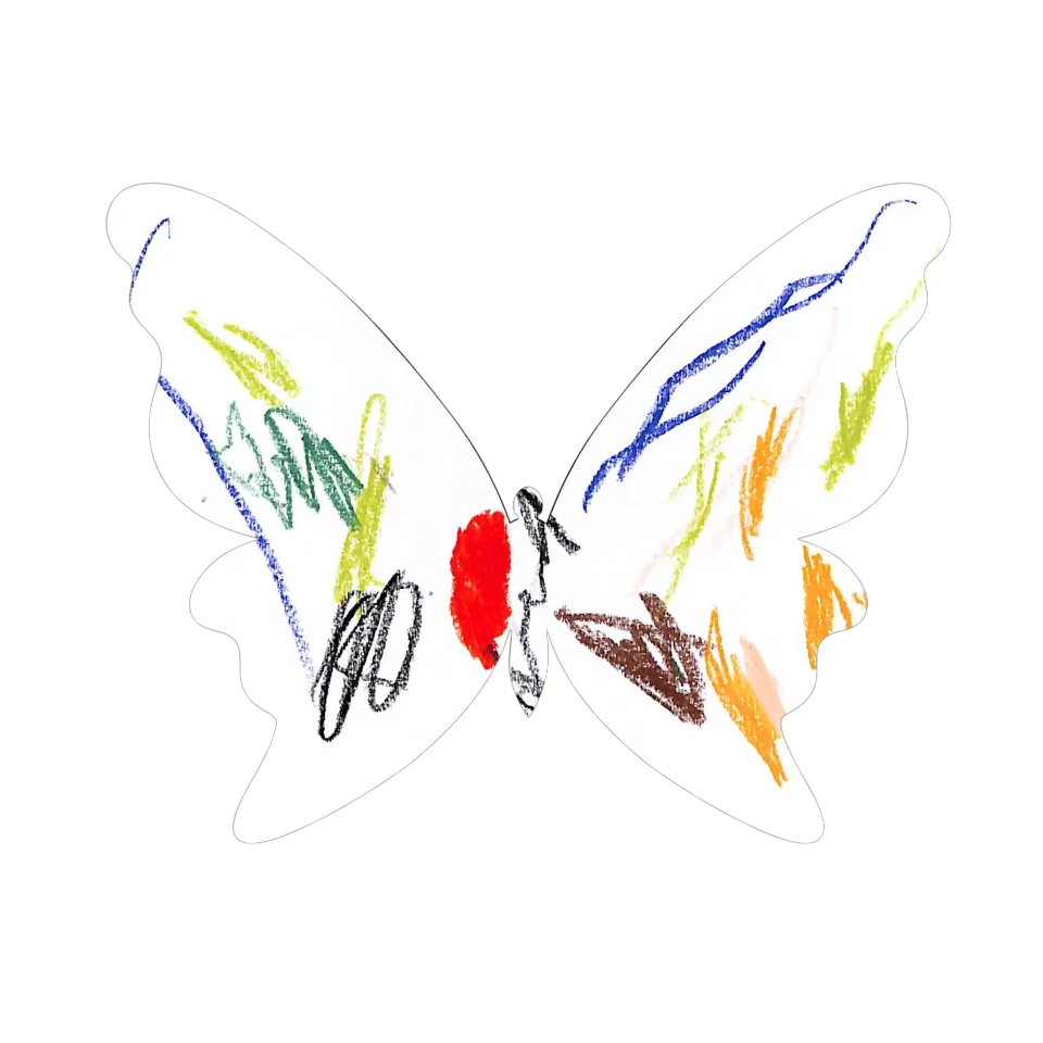 Original Butterfly Image