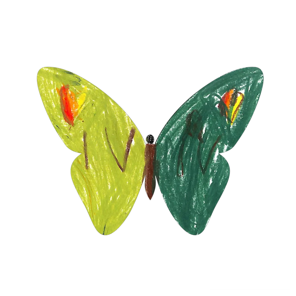 Original Butterfly Image