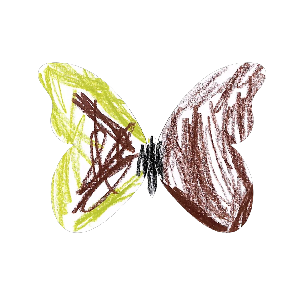 Original Butterfly Image
