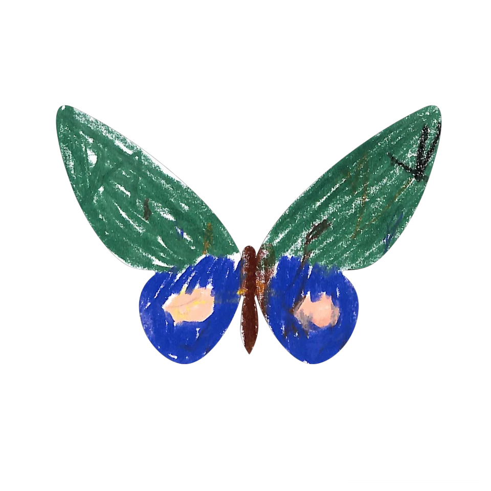 Original Butterfly Image