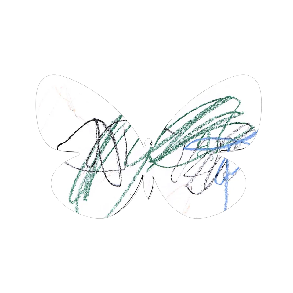 Original Butterfly Image