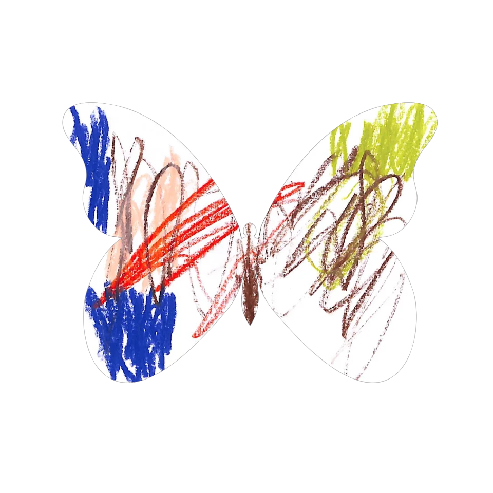 Original Butterfly Image