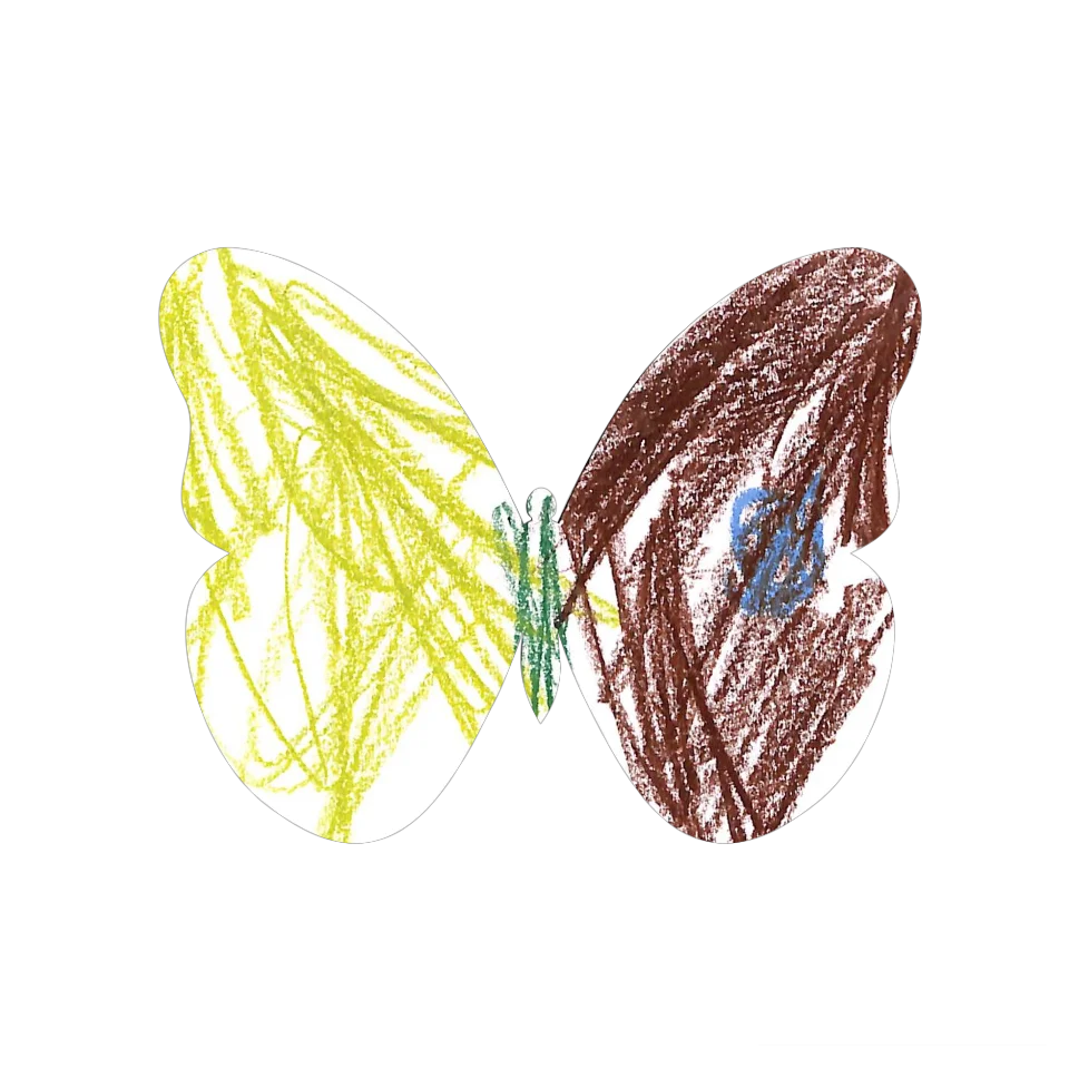 Original Butterfly Image