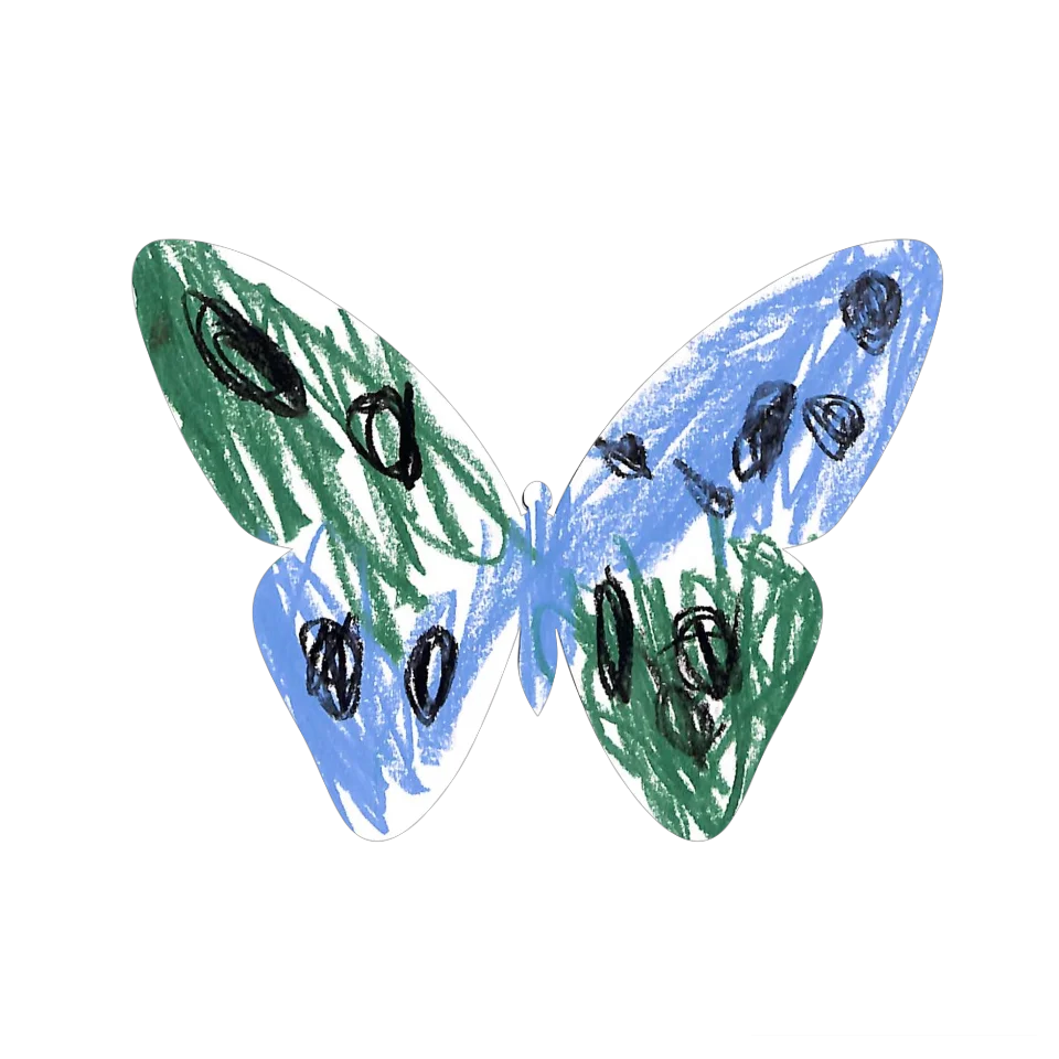Original Butterfly Image