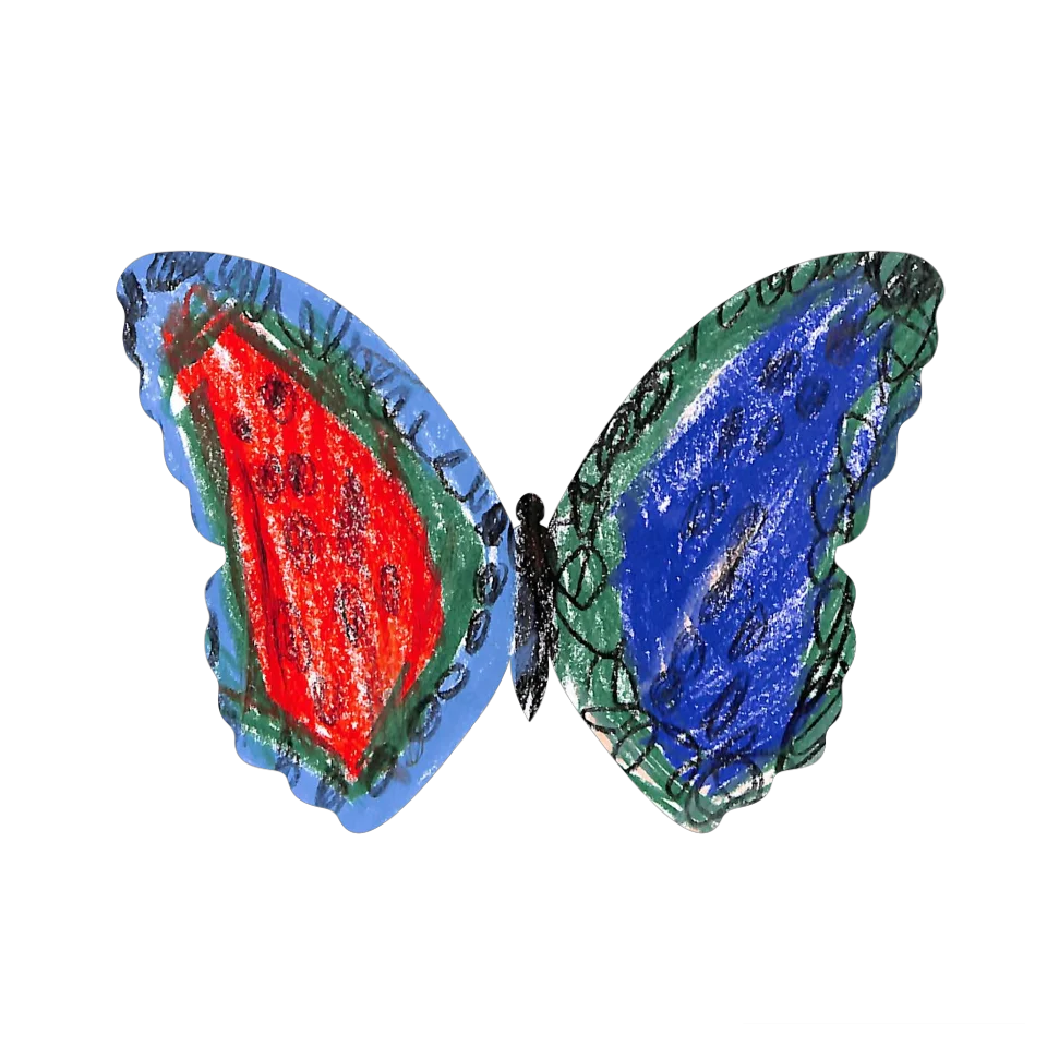 Original Butterfly Image