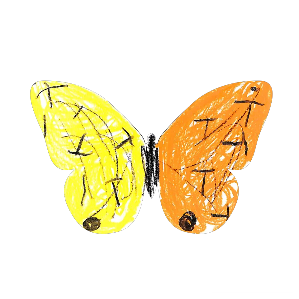 Original Butterfly Image