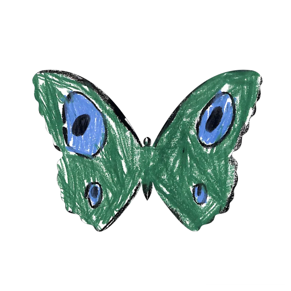 Original Butterfly Image