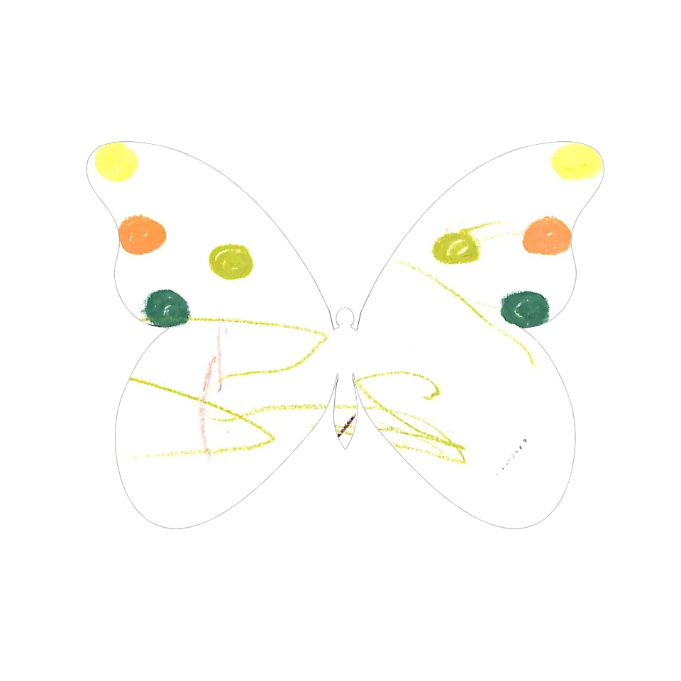 Original Butterfly Image