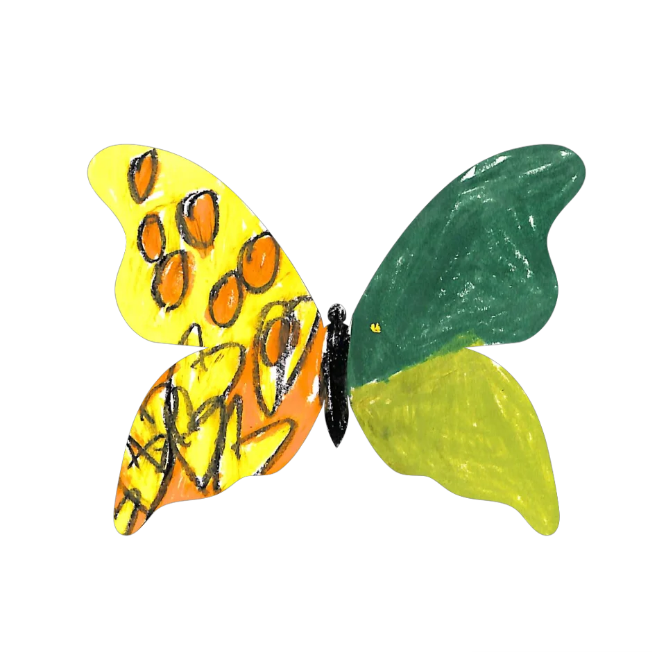Original Butterfly Image