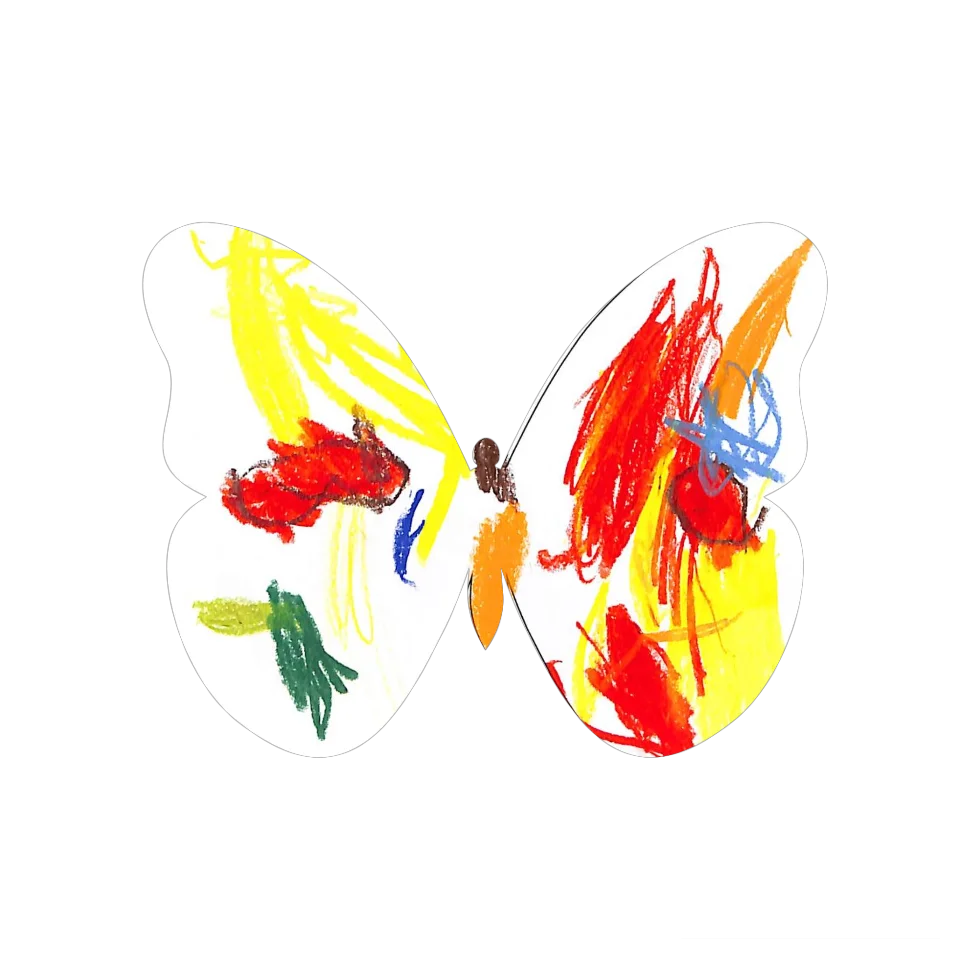 Original Butterfly Image