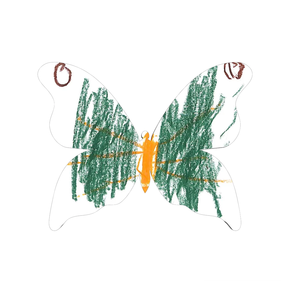 Original Butterfly Image