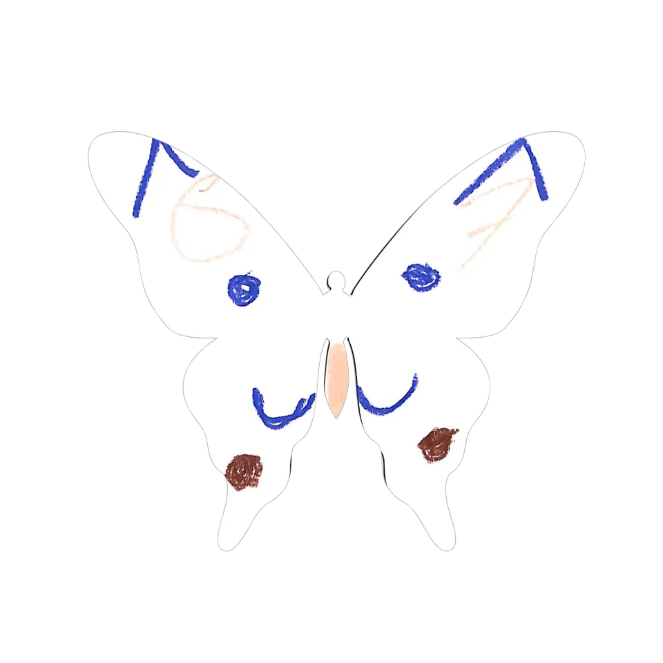 Original Butterfly Image
