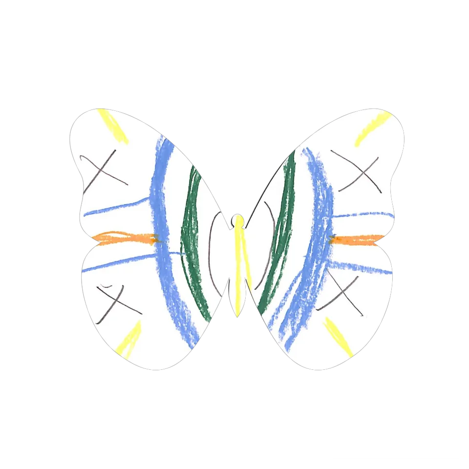 Original Butterfly Image