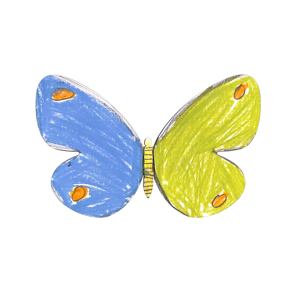 Original Butterfly Image