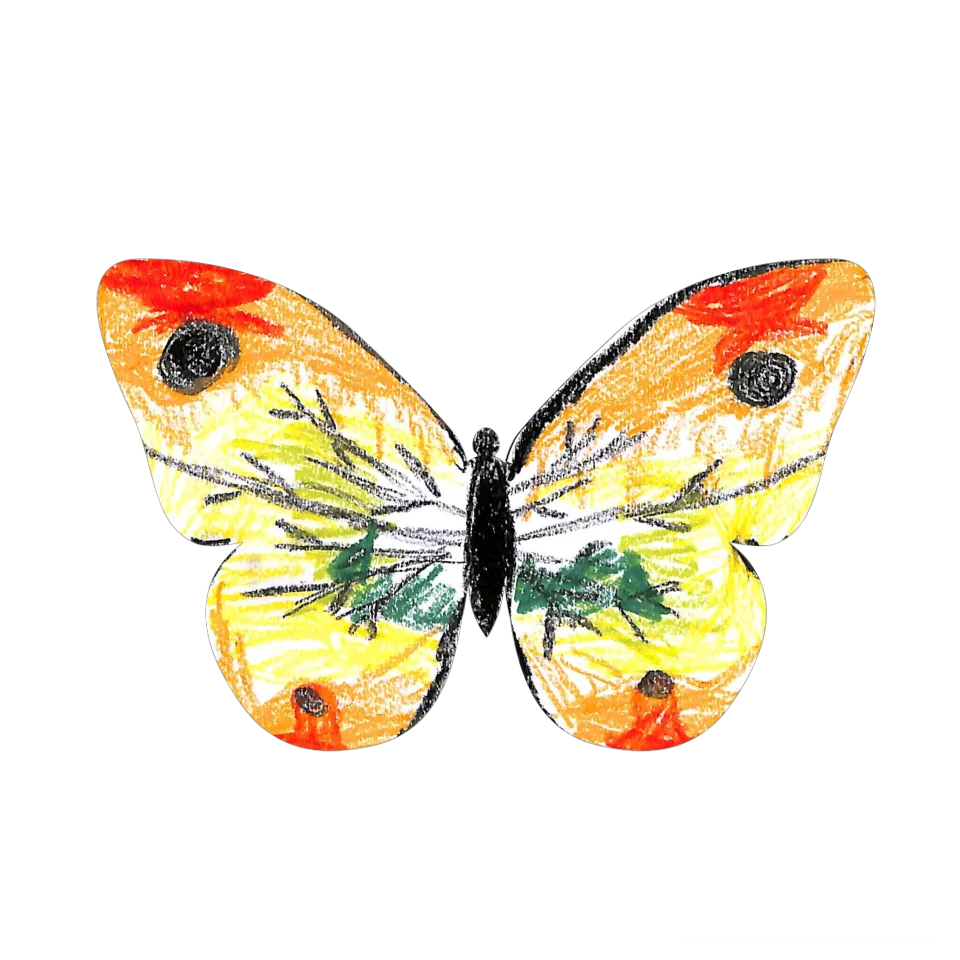 Original Butterfly Image