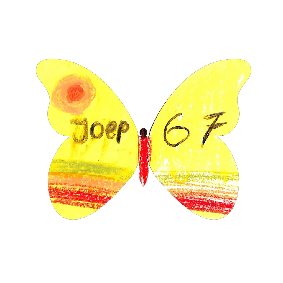 Original Butterfly Image