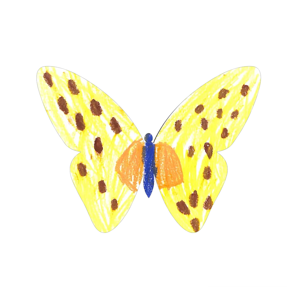 Original Butterfly Image